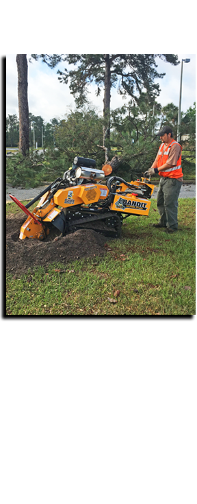 Landscaping Kingsland GA