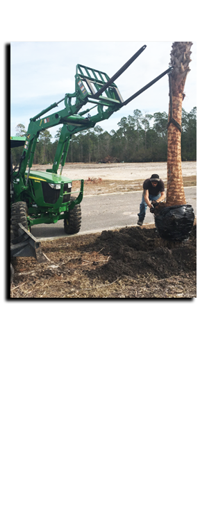 yulee FL Landscaping