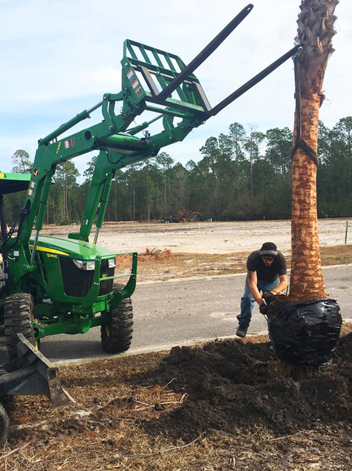 landscaping kingsland GA